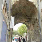 DSCN7524
