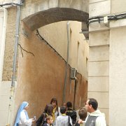DSCN7534
