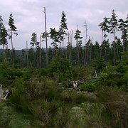 image004