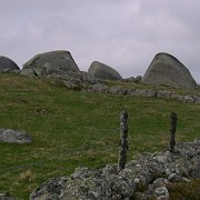 image008