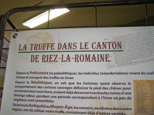 P1180083.JPG