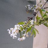 P4210007