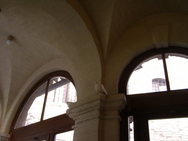 P2230012.JPG